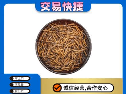 淮南礼品回收虫草.jpg